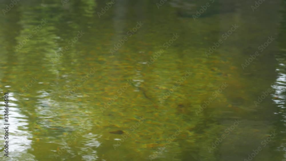 Textures of clear river water, in shallow water
