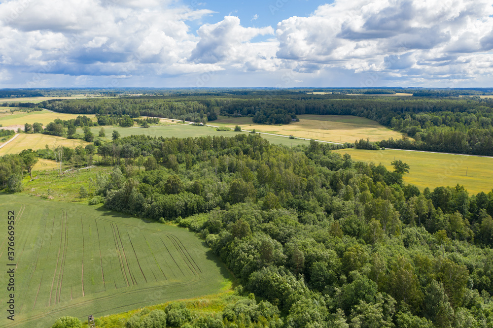 Aerial view of green forests surrounded by green farmland fields