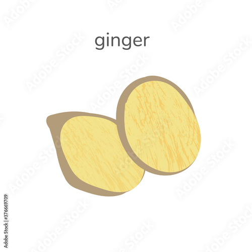 Illustration of fresh slice of ginger spice isotated on white background. Hand drawn illustration with textures.