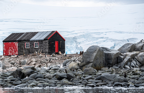 Antarctica, Peninsula: On Wiencke Island in Februar 2020. Wooden building and Penguins at  Port Lockroy  photo