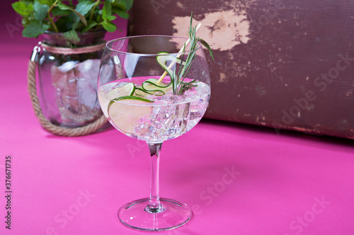 gin and tonic cocktails