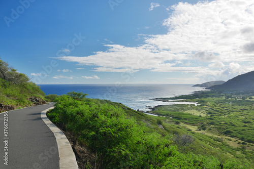 晴天のハワイ、マカプー岬へ続く道