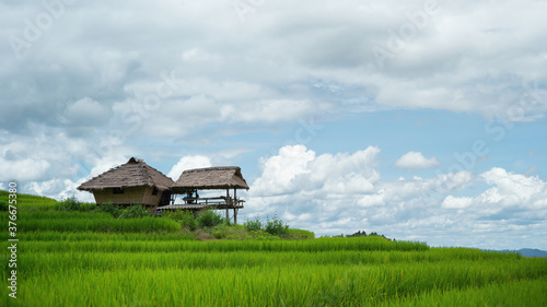 Green Terraced Rice Field in Pa Bong Pieng , Mae Chaem, Chiang Mai, Thailand.