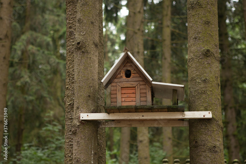 Beautiful wooden squirrel house. Birdhouse, which is located in the forest among the pine trees.