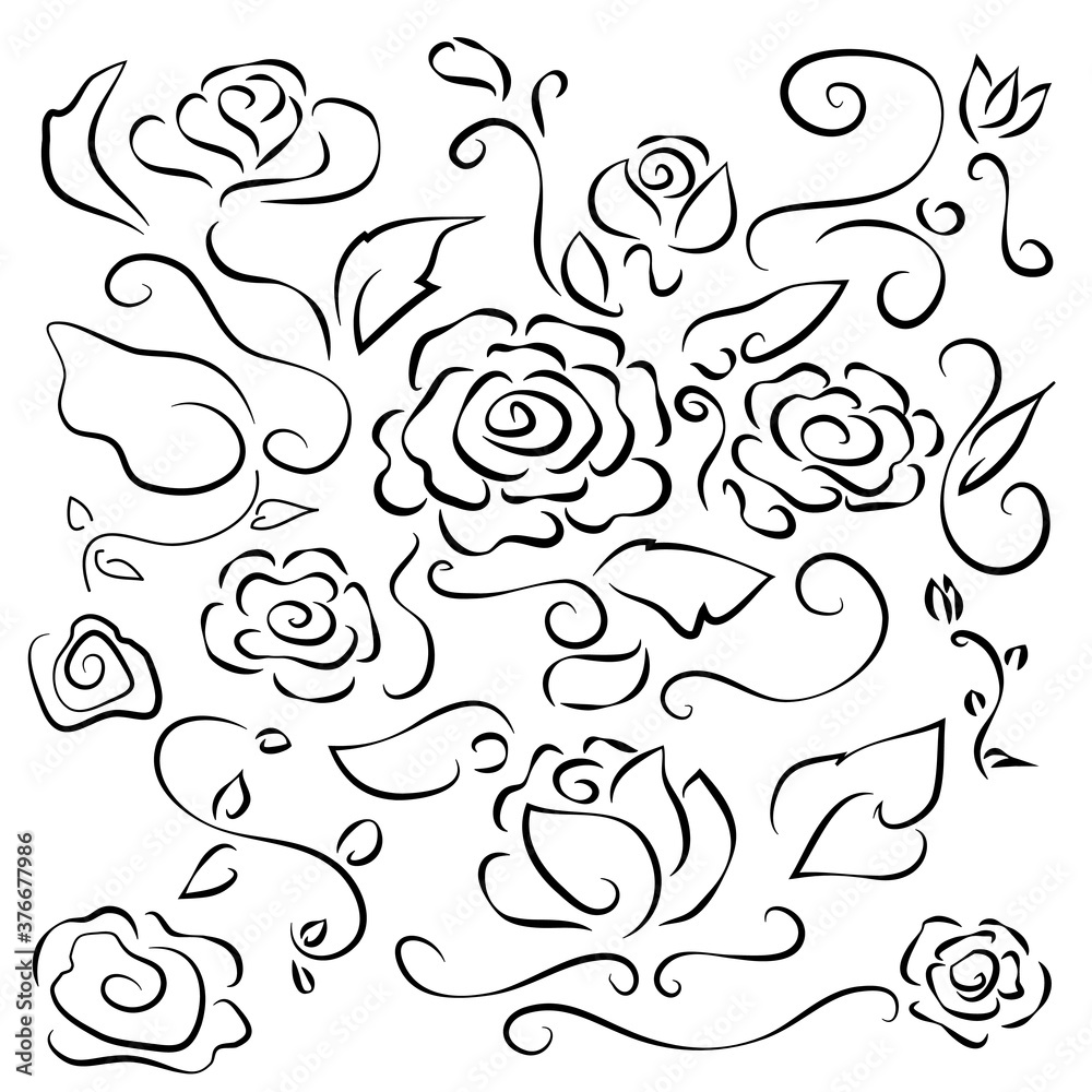 line drawing flowers rose with leafy branches line drawing flowers rose with leafy branches