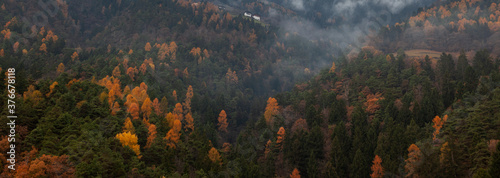 Autumn forest, fog over it. Beautiful nature landscape. Panorama banner format