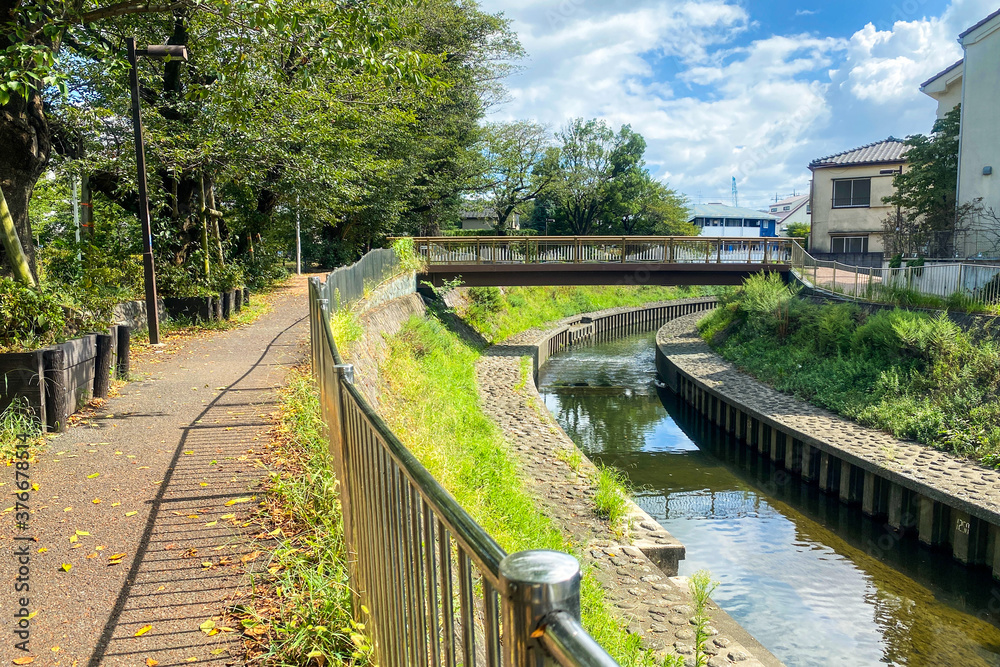 真夏の河川風景