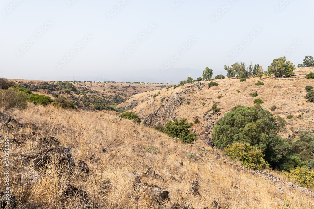 Hills overgrown with dry grass and small trees in the Golan Heights in northern Israel Hills overgrown with dry grass and small trees in the Golan Heights in northern Israel