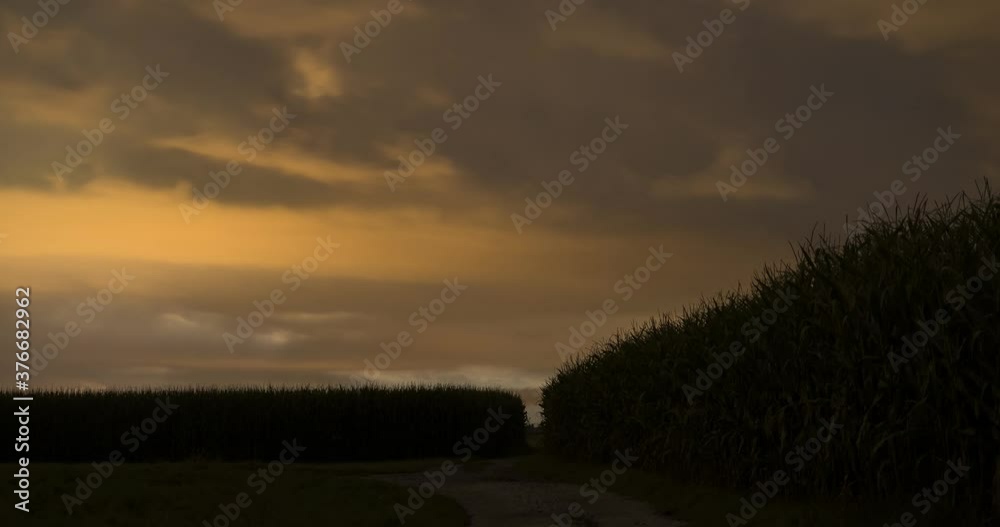 Nighttime time lapse. Clouds moving over corn farming field. Reflection in the clouds from city lights. Static, wide angle Nighttime time lapse. Clouds moving over corn farming field. Reflection in the clouds from city lights. Static, wide angle