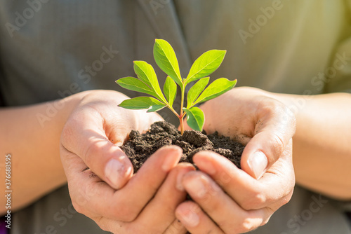 Environment concept. hand holding young plant on green blur with sunshine background.