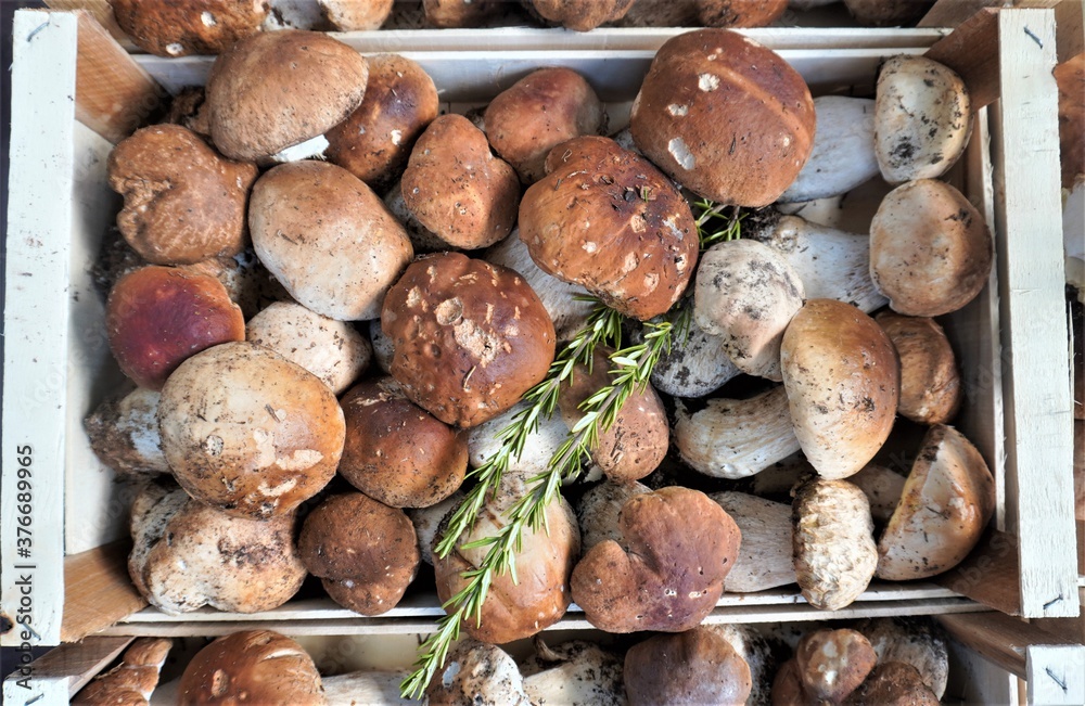 Mushroom Porcini, Boletus edulis.
Centro Agroalimentare di Roma
Market.
Mercati Generali Evolution.
Healthy
Rome
Italy Mushroom Porcini, Boletus edulis.
Centro Agroalimentare di Roma
Market.
Mercati Generali Evolution.
Healthy
Rome
Italy