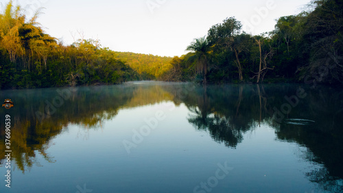 reflection of trees in water © Samson
