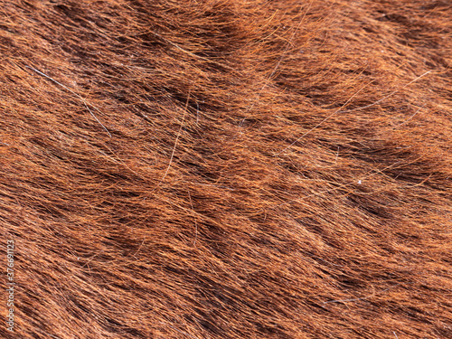 The natural look of halfling horse spring fur.