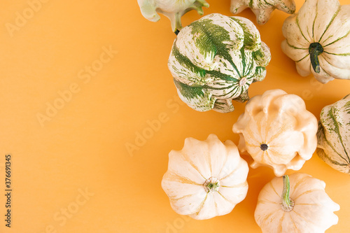 Decorative pumpkin on an orange background. Festive background with space for text.