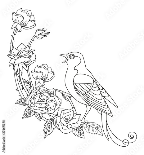 Contour vector song bird with flowers composition