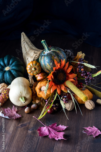 Billede på lærred Cornucopia autumn arrangement against a black background.