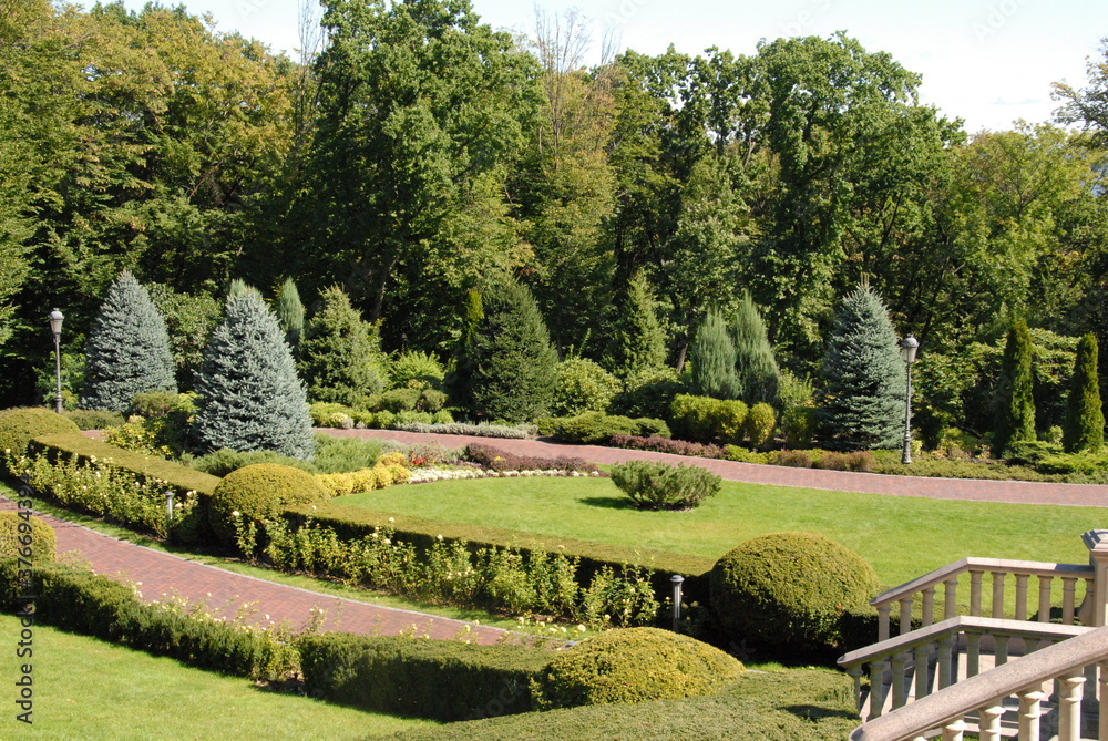 garden in the park garden in the park