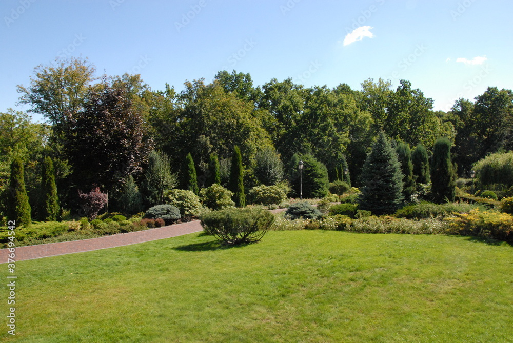 Fototapeta ogród w parku