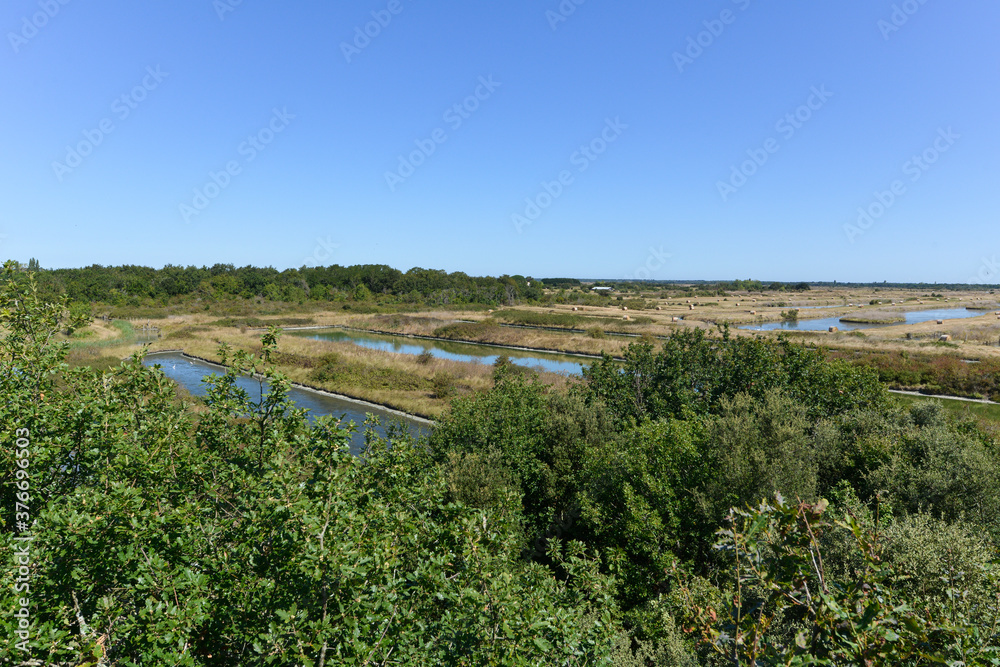 Marais aux oiseaux, 17550 ,Dolus d'Oléron, Ile d'Oléron , Charente Maritime Marais aux oiseaux, 17550 ,Dolus d'Oléron, Ile d'Oléron , Charente Maritime