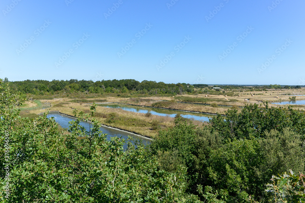 Obraz premium Marais aux oiseaux, 17550 ,Dolus d'Oléron, Ile d'Oléron , Charente Maritime
