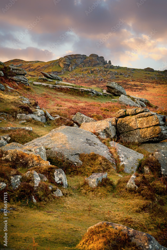 Fototapeta premium dartmoor national park devon england uk 
