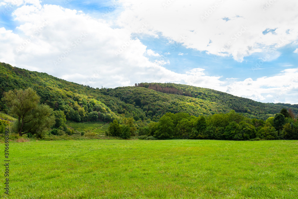 A green meadow in the valley, in the background trees growing on hills and a cloudy sky.