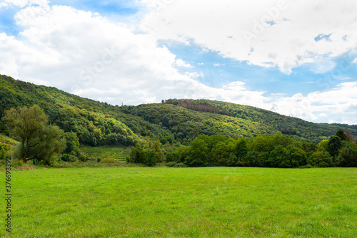 A green meadow in the valley, in the background trees growing on hills and a cloudy sky.