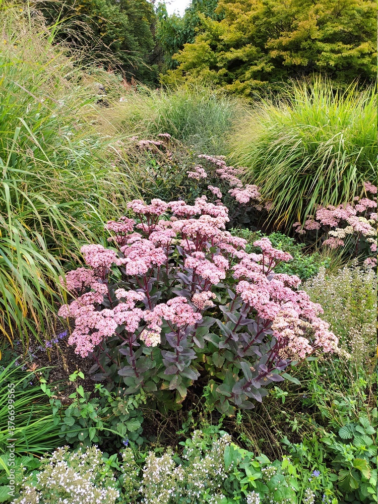 Obraz premium Garten