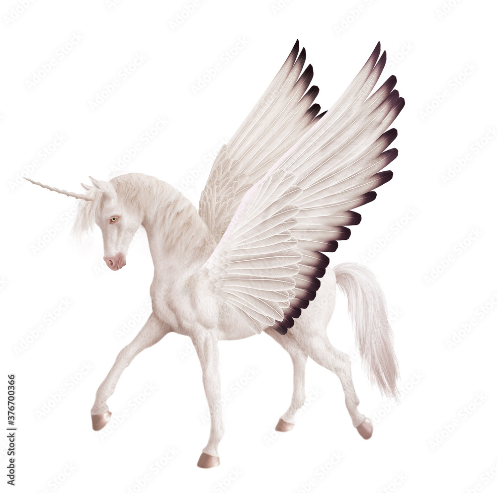 Ταπετσαρία cheval, blanc, licorne, volant, ailes,   animal, isolé, étalon, mystique,  mammi