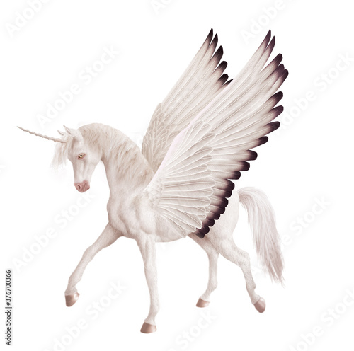 Vászonkép cheval, blanc, licorne, volant, ailes,   animal, isolé, étalon, mystique,  mammi