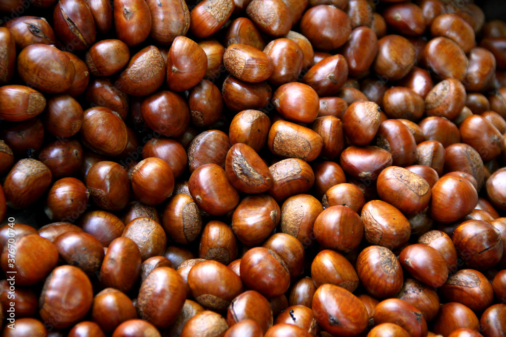 Close up of ripe chestnuts, Raw chestnuts in oven, Concept image of the process of roasted chestnuts in Chinatown. Hi carbohydrate food and nutrient. Close up of ripe chestnuts, Raw chestnuts in oven, Concept image of the process of roasted chestnuts in Chinatown. Hi carbohydrate food and nutrient.