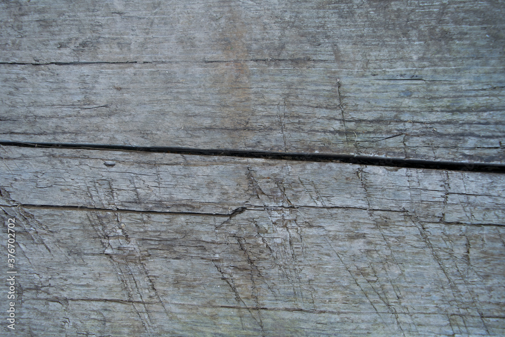 Fototapeta premium Background with the texture of an Old Gray Tree