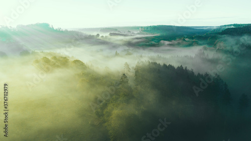 Morgensstimmung im Teutoburgerwald