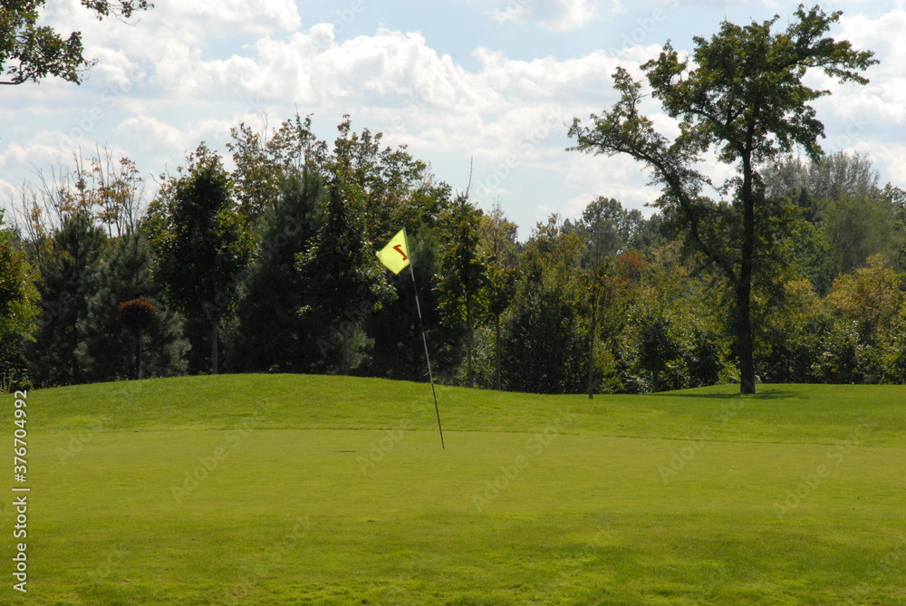 Obraz premium golf course in the summer
