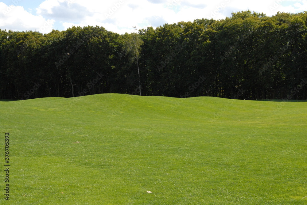 golf course in the morning