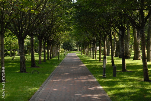 alley in the park