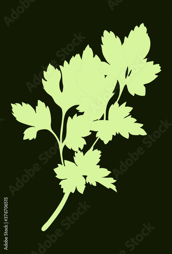 Wallpaper Mural Green Parsley silhouette isolated on dark background. Vector illustration. Fresh food Torontodigital.ca