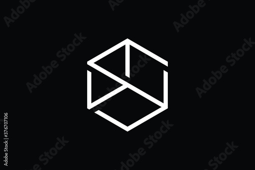 Minimal Innovative Initial WS logo and SW logo. Letter WS SW creative elegant Monogram. Premium Business logo icon. White color on black background