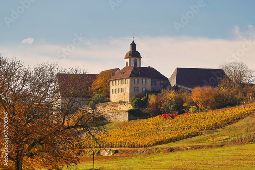 Castle Duttenberg, Bad Friedrichshall, Baden-Württemberg, Germany, Europe. photo