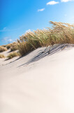 Dünengras neigt sich über den weißen Sand an der Nordseeküste