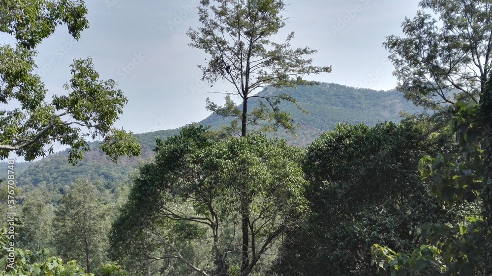 Obraz premium A day out at Yercaud