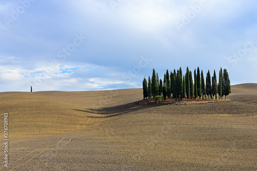 Landscape of autumn field with cypresses in Tuscany, Italy