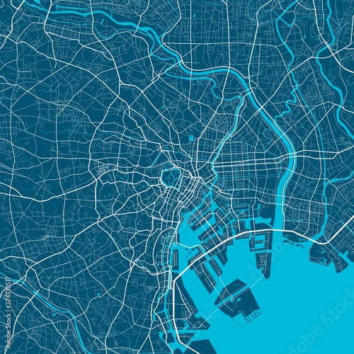 Detailed map of Tokyo city, linear print map. Cityscape panorama.