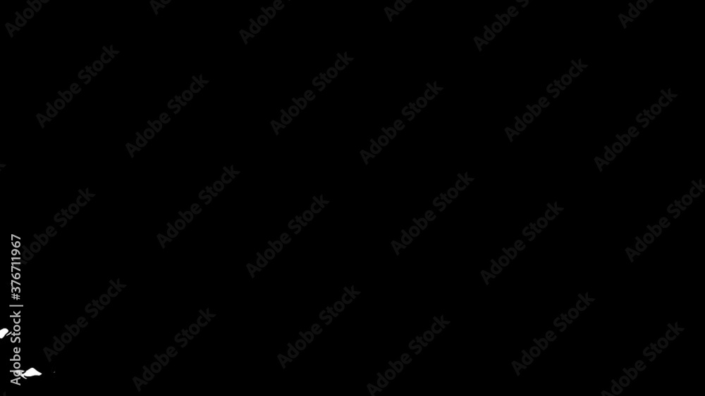 Abstract Mask Intro Reveal Background Clip/ 4k animation of a white and black background transition with abstract mask reveal and turbulence effect