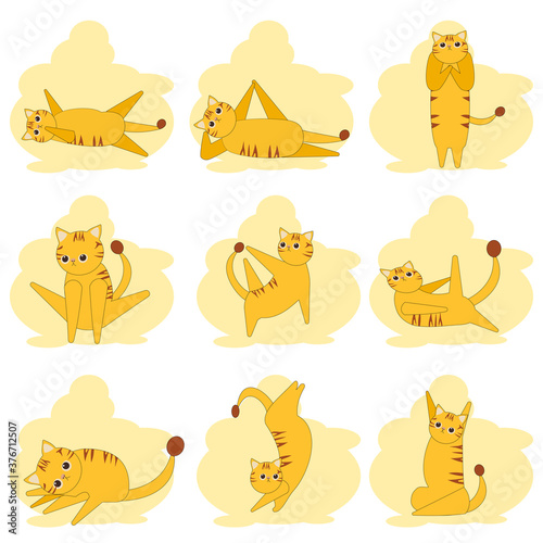 set of nine yellow funny animals,puffy,kitty in exercise,relaxing,standing,sitting.vector isolate cartoon vector design concept for kid or poster or card