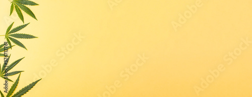 Sharp leaves of wild hemp peeking out from the side against a yellow background. Photo banner. View from above. Place for your text.