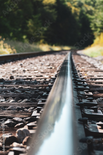 railroad tracks in the forest closeup