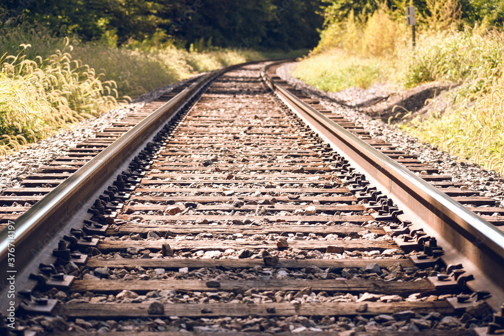 Fototapeta premium railroad tracks in the forest
