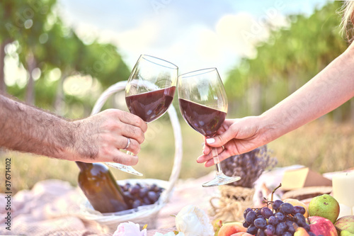 Man and woman hands with two glasses of wine toast at the picnic outdoors. Beautiful summer backgrounds