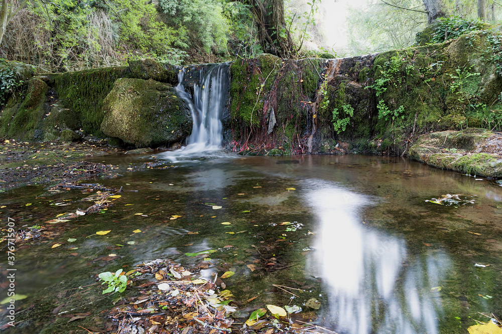 Fototapeta premium cascadas de río a través del bosque